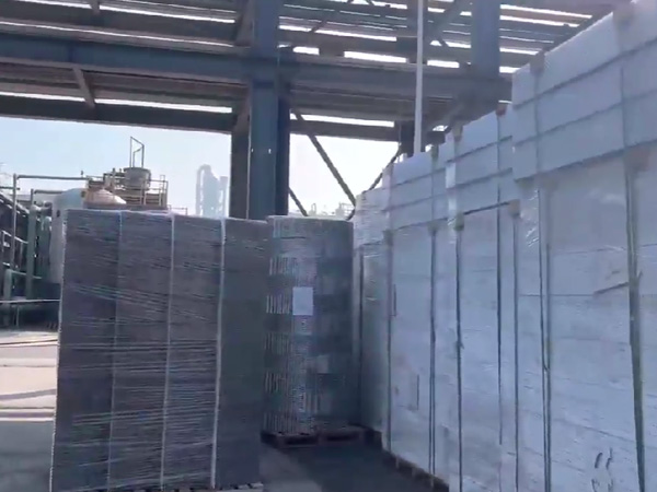 四川福華集團(tuán)  二乙酯項目，塔內(nèi)件，填料